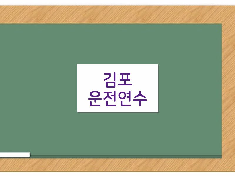 김포운전연수 후기