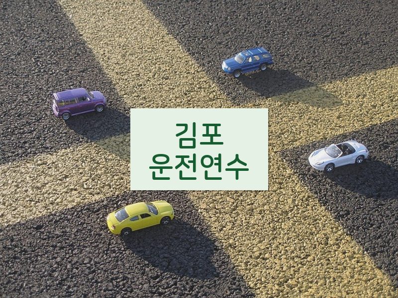 김포운전연수 후기