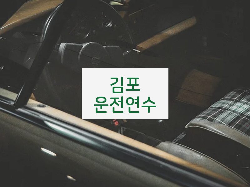 김포운전연수 후기