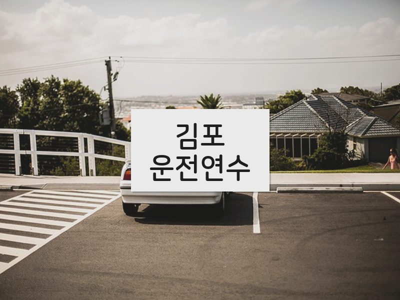 김포운전연수 후기