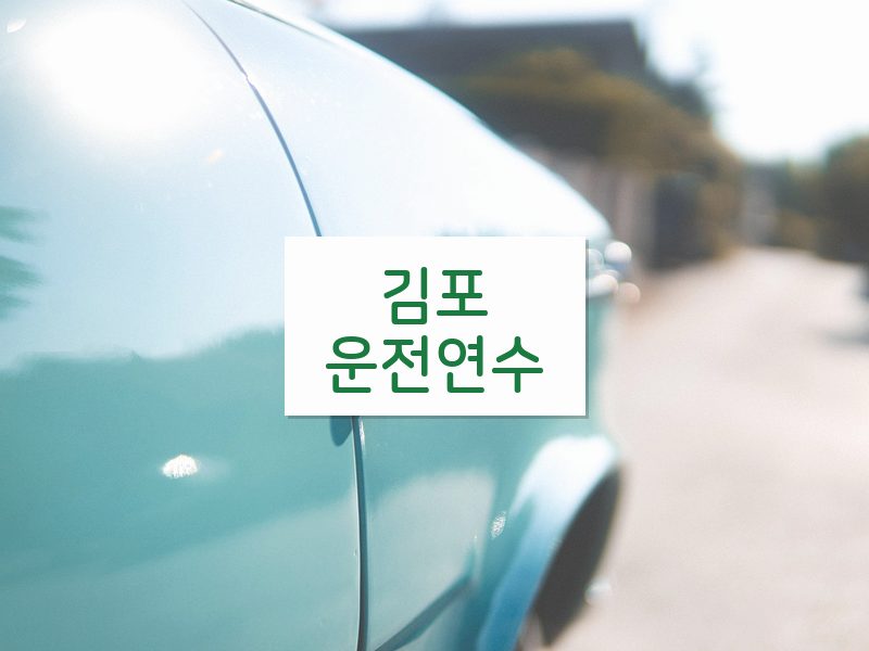 김포운전연수 후기