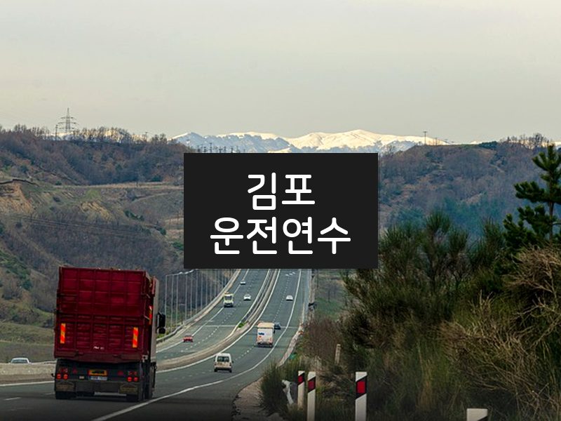 김포운전연수 후기