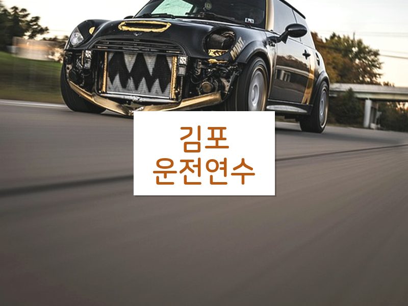 김포운전연수 후기