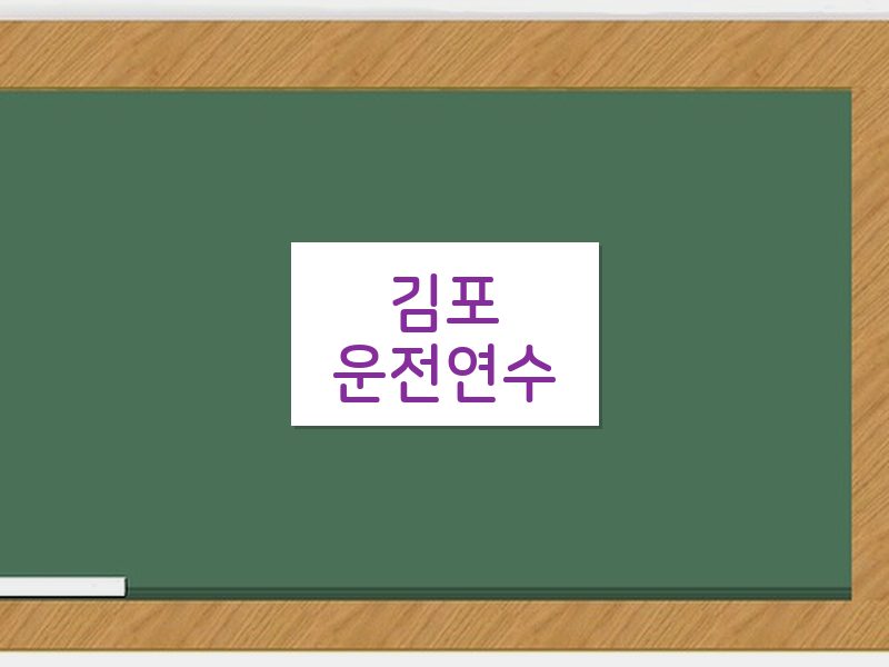 김포운전연수 후기