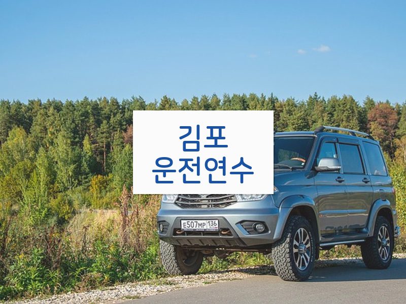 김포운전연수 후기