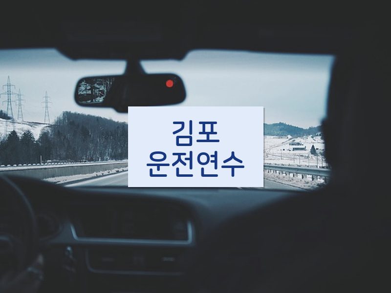 김포운전연수 후기