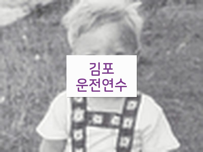 김포운전연수 후기