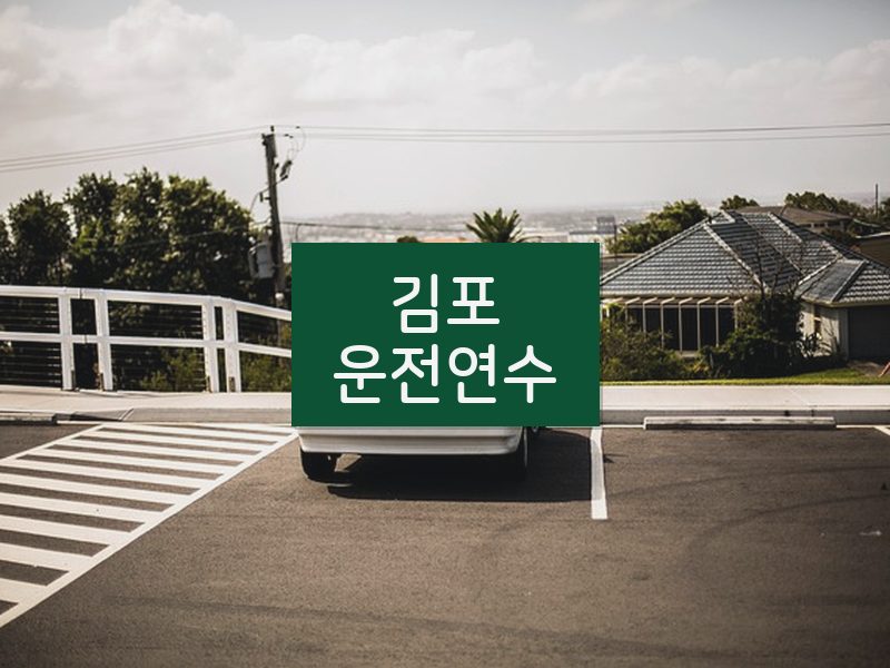 김포운전연수 후기