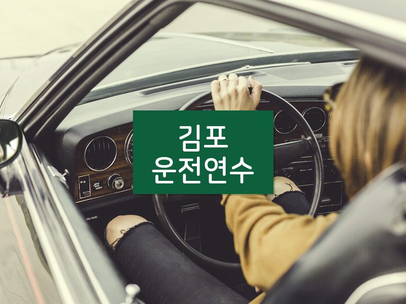 김포운전연수 후기