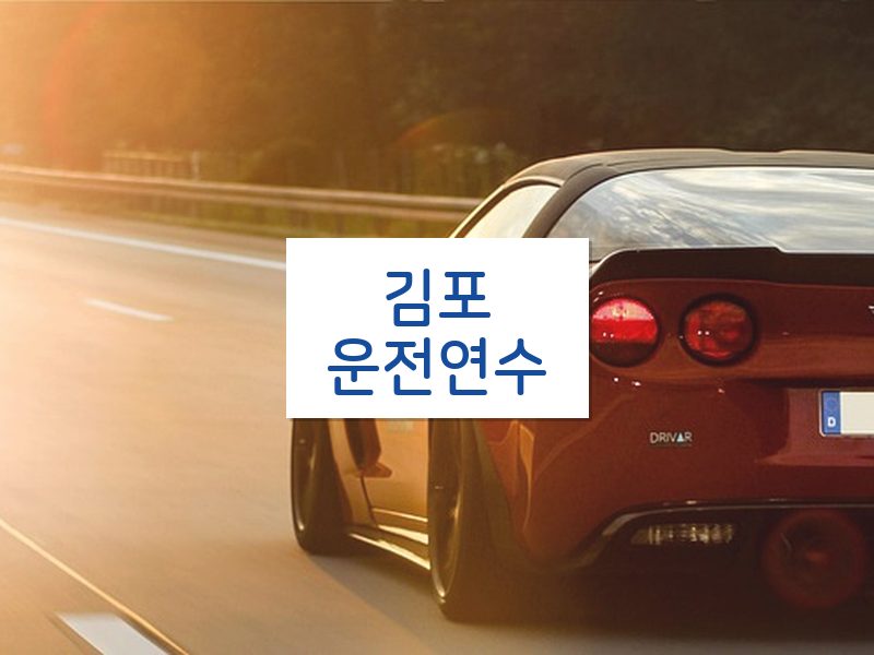 김포운전연수 후기