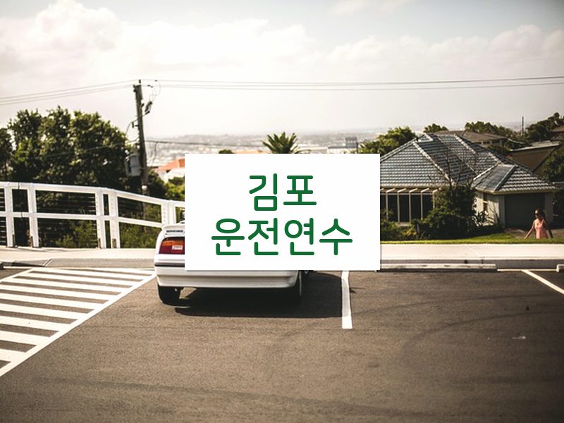김포운전연수 후기