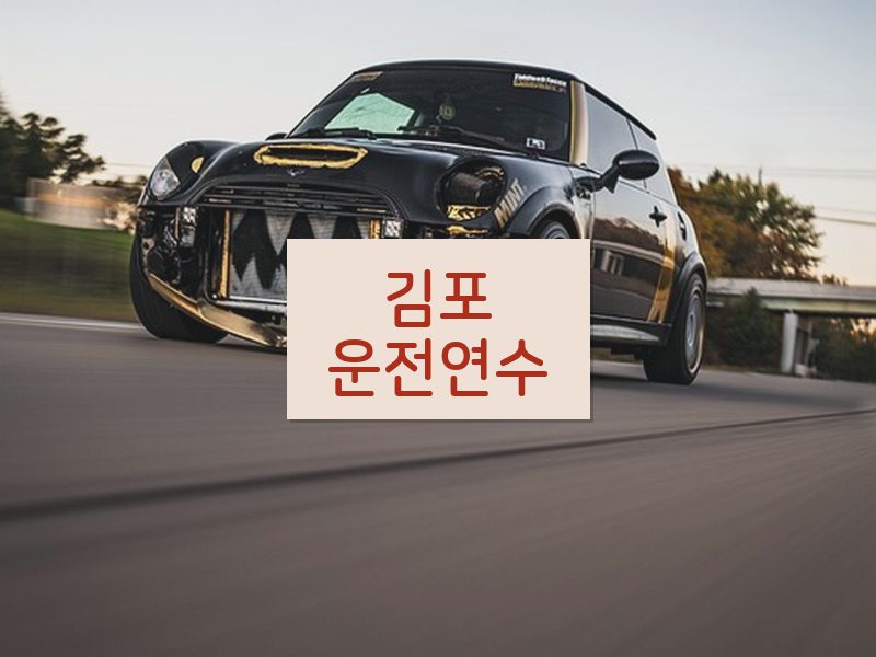 김포운전연수 후기