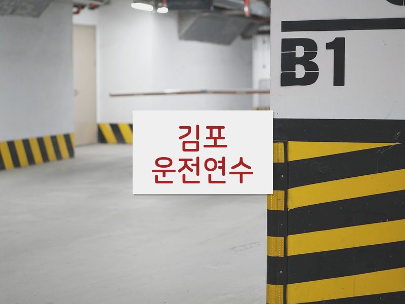 김포운전연수 후기