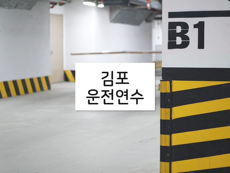 김포운전연수 후기