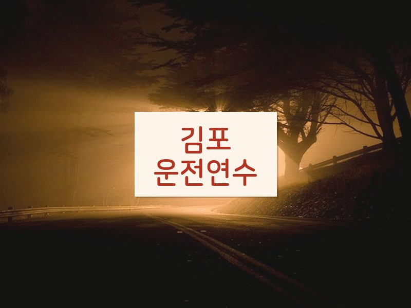 김포운전연수 후기