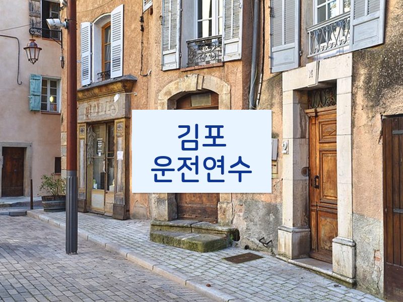 김포운전연수 후기