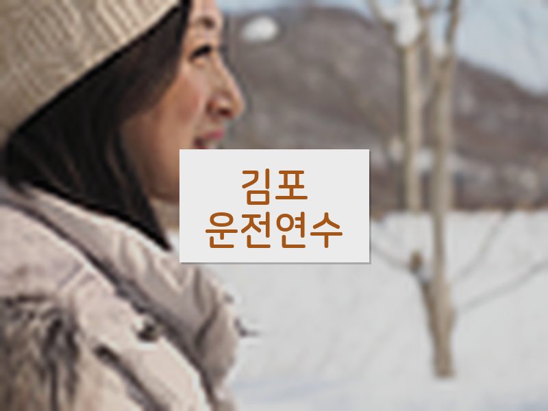 김포운전연수 후기