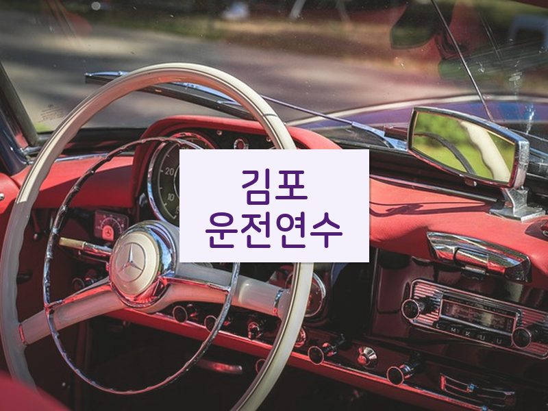 김포운전연수 후기