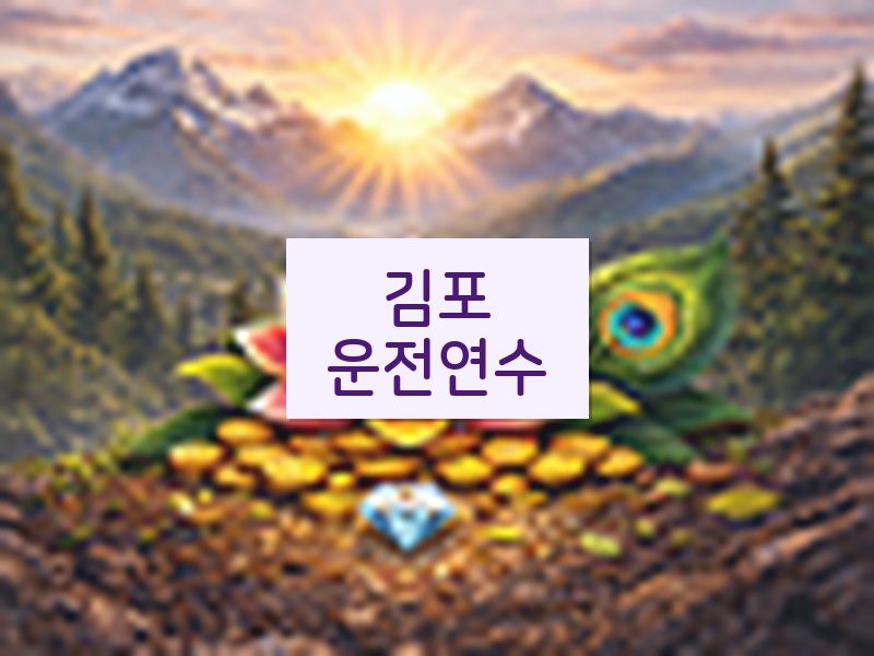 김포운전연수 후기