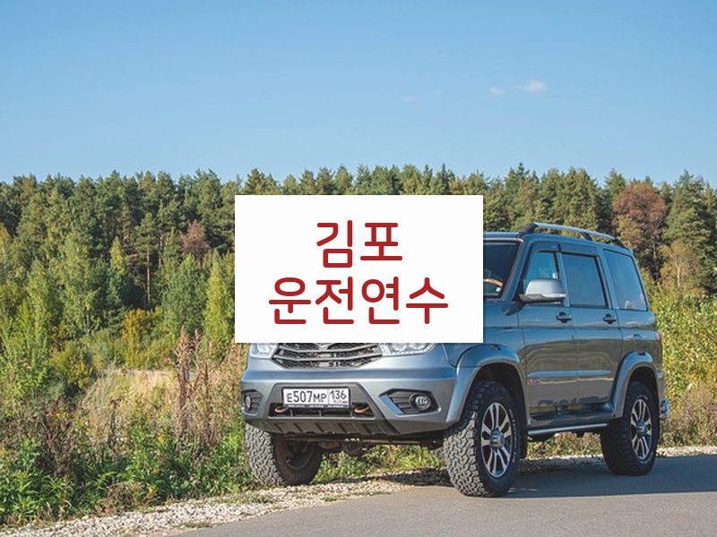 김포운전연수 후기