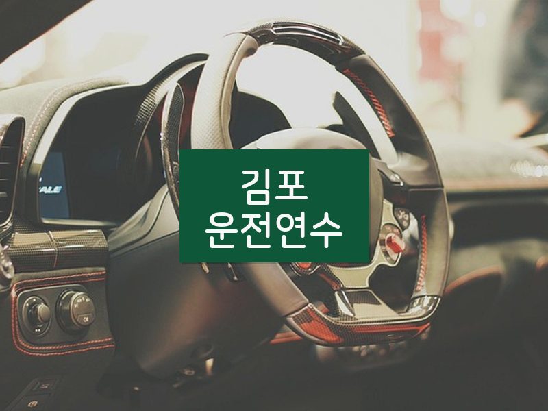 김포운전연수 후기