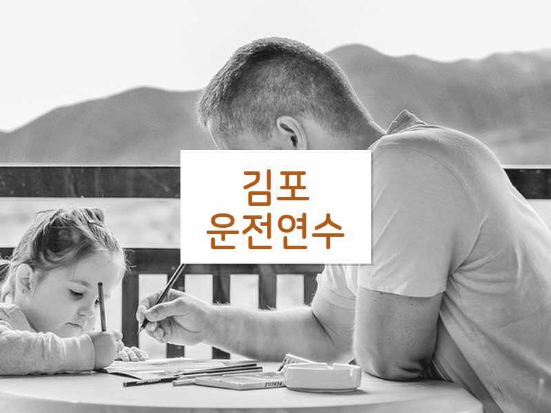 김포운전연수 후기