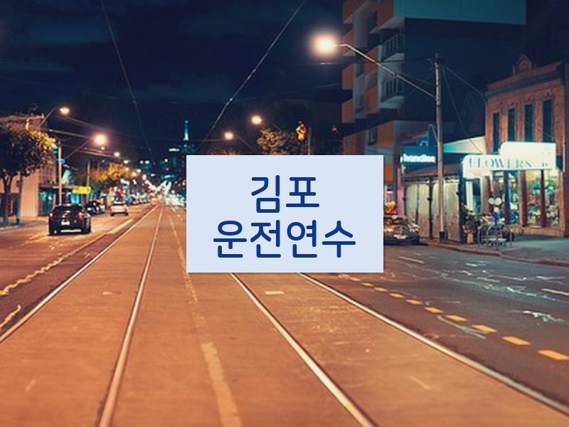 김포운전연수 후기