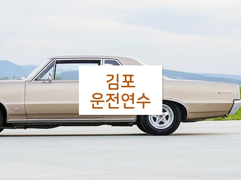 김포운전연수 후기