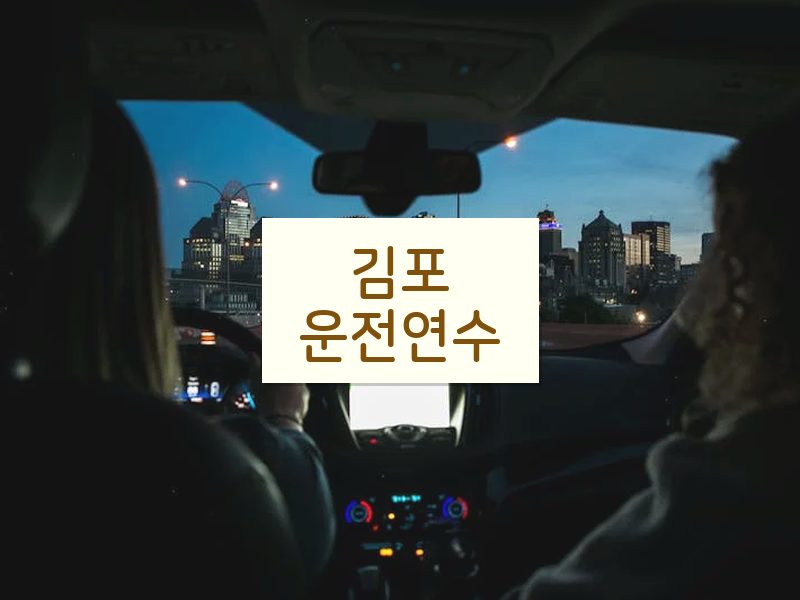 김포운전연수 후기