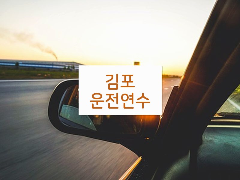 김포운전연수 후기