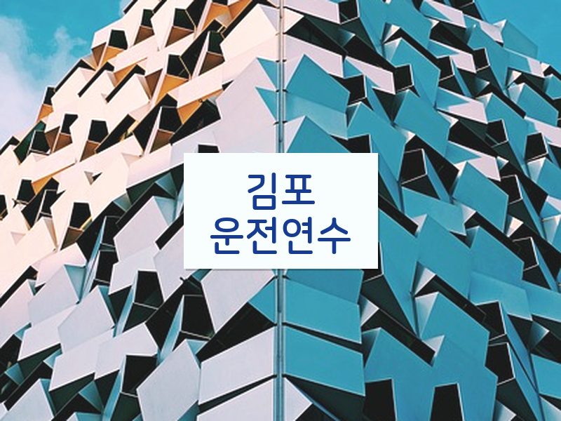 김포운전연수 후기