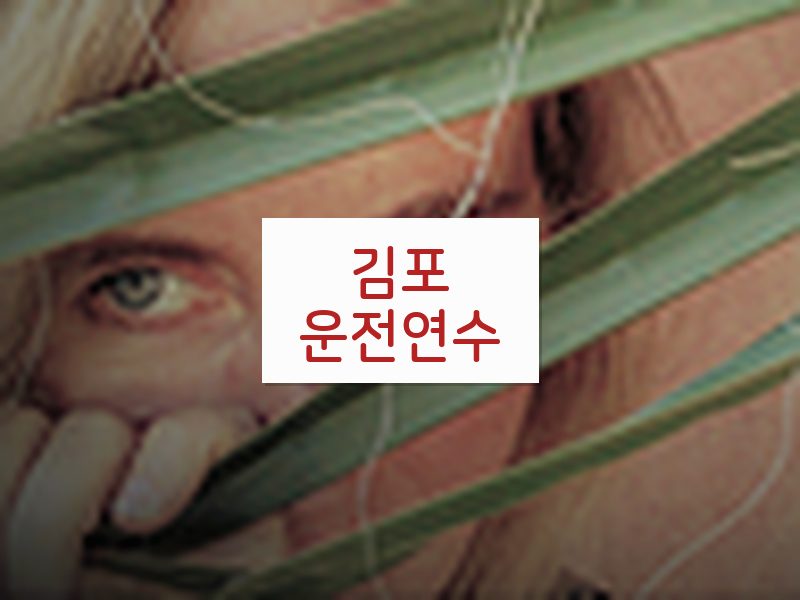김포운전연수 후기
