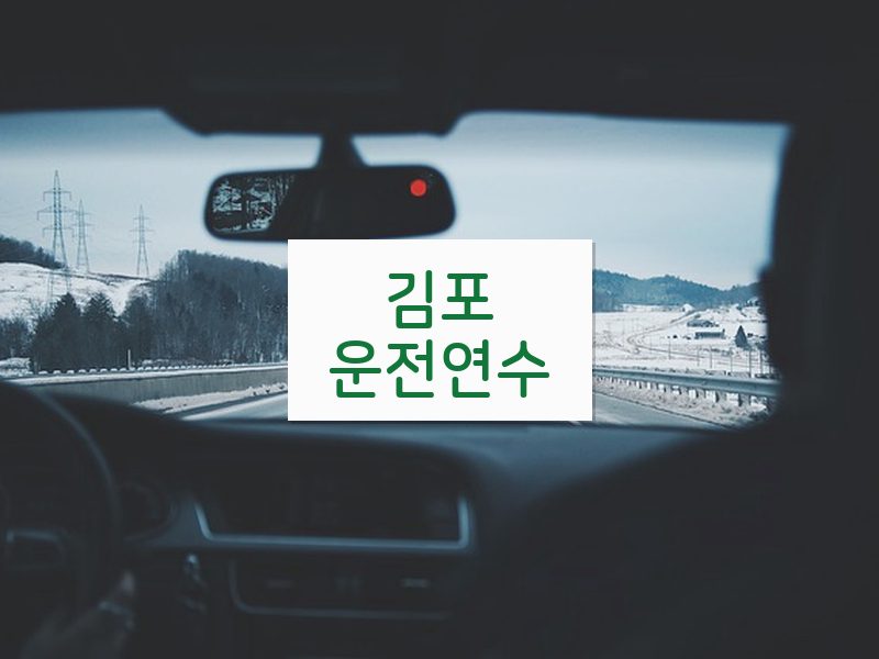 김포운전연수 후기