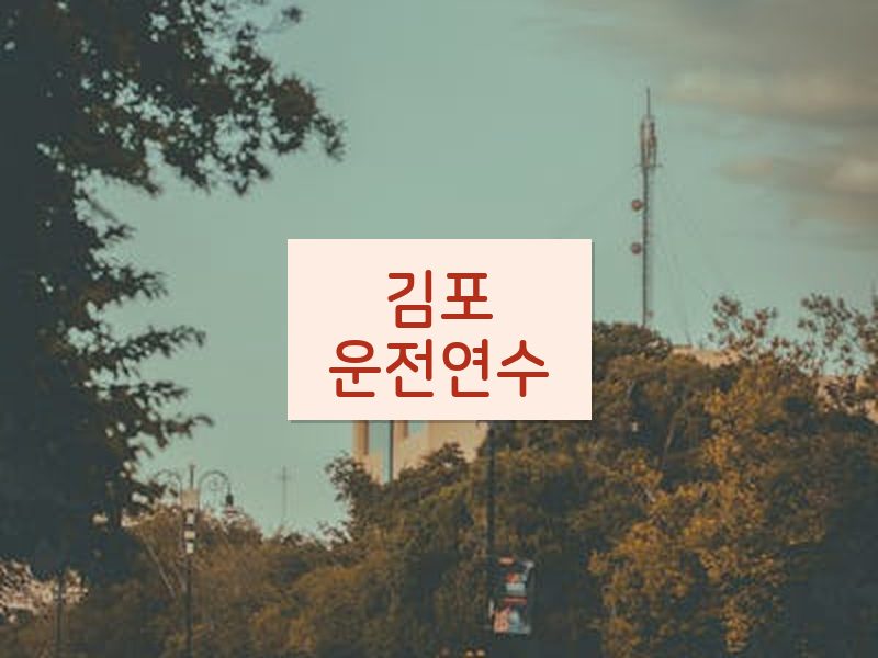 김포운전연수 후기