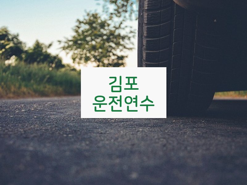 김포운전연수 후기