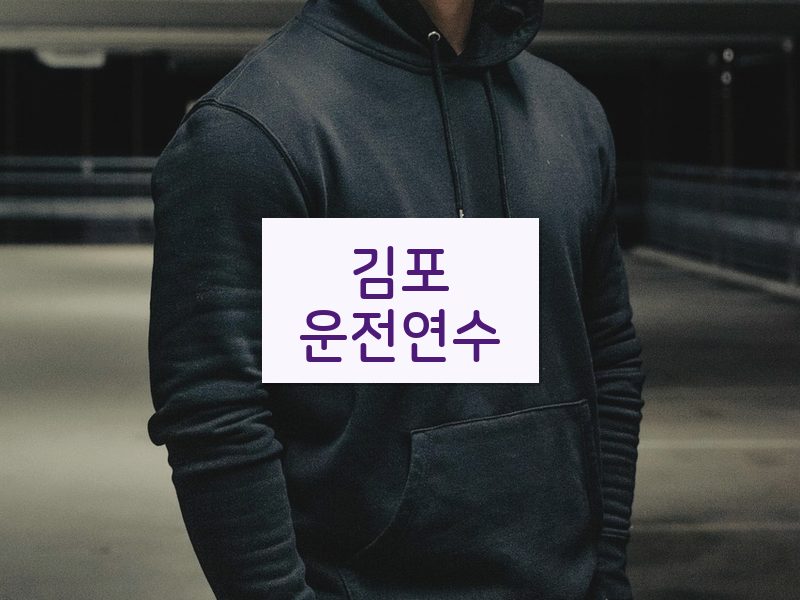 김포운전연수 후기