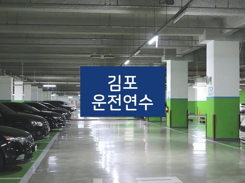 김포운전연수 후기