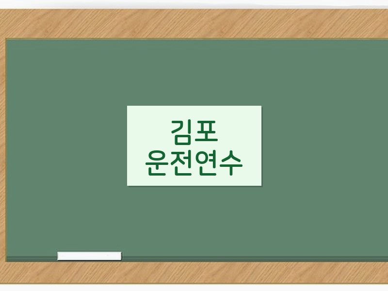 김포운전연수 후기