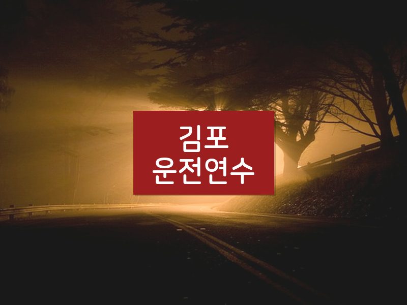 김포운전연수 후기