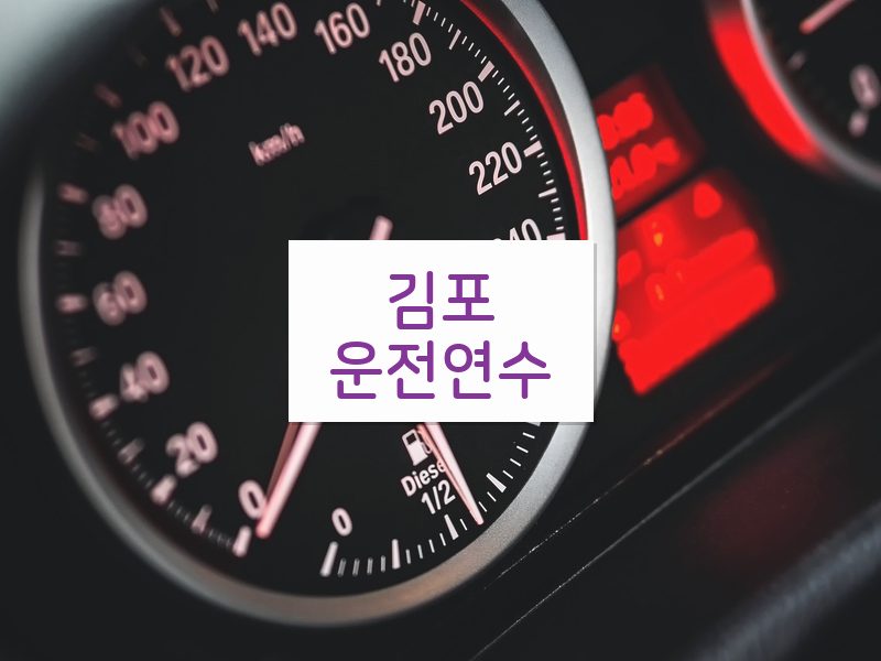 김포운전연수 후기