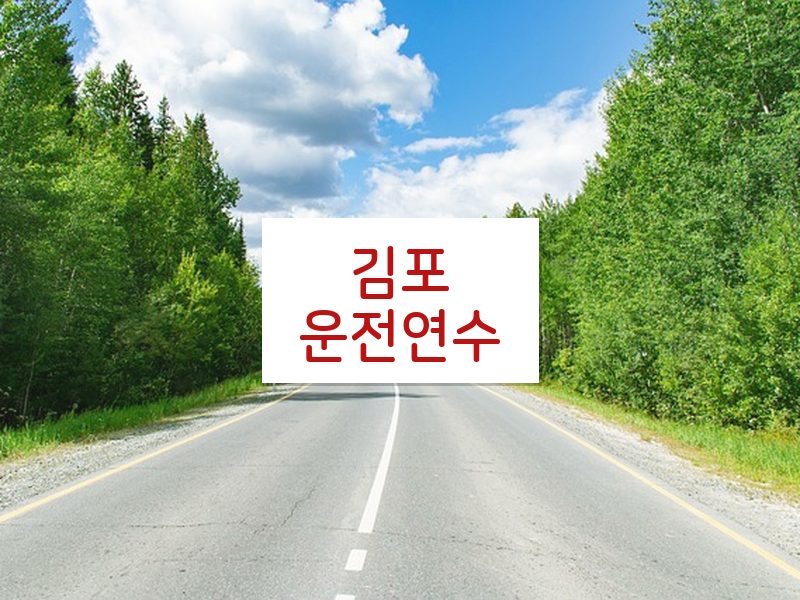 김포운전연수 후기
