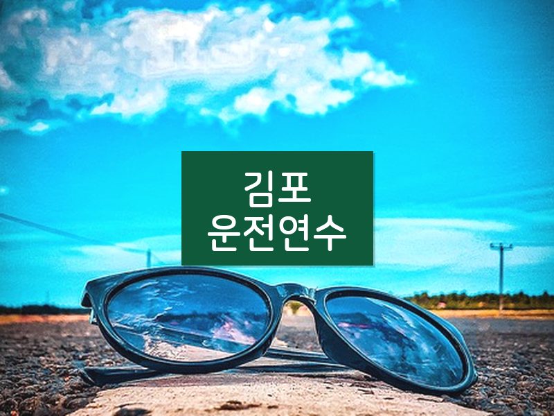 김포운전연수 후기