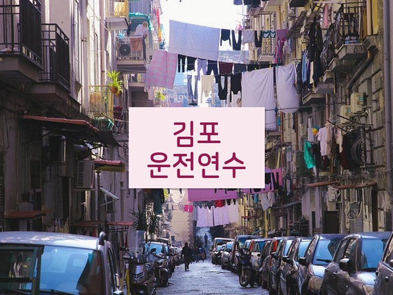 김포운전연수 후기