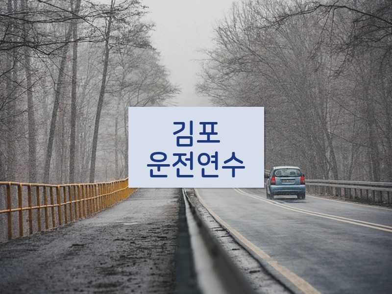 김포운전연수 후기