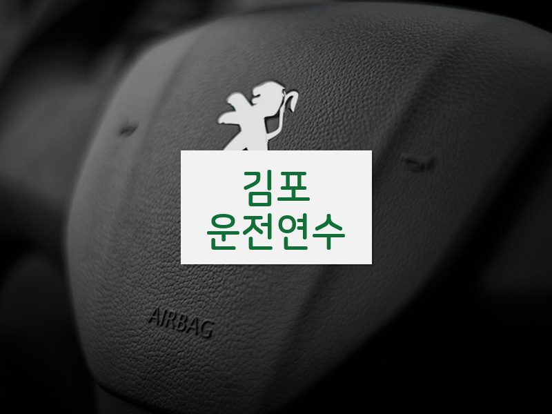 김포운전연수 후기