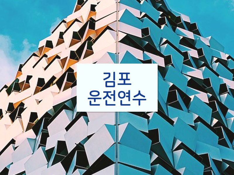 김포운전연수 후기