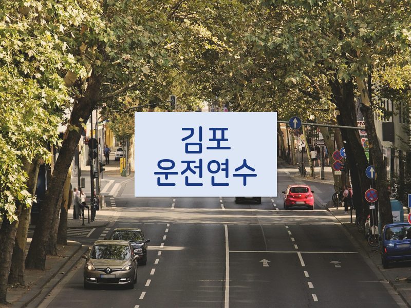 김포운전연수 후기