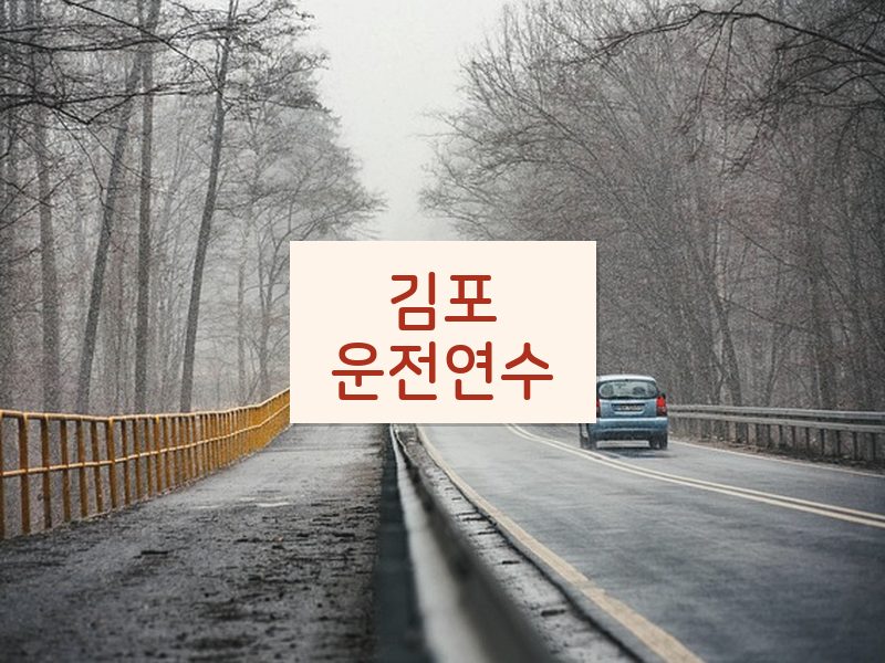 김포운전연수 후기