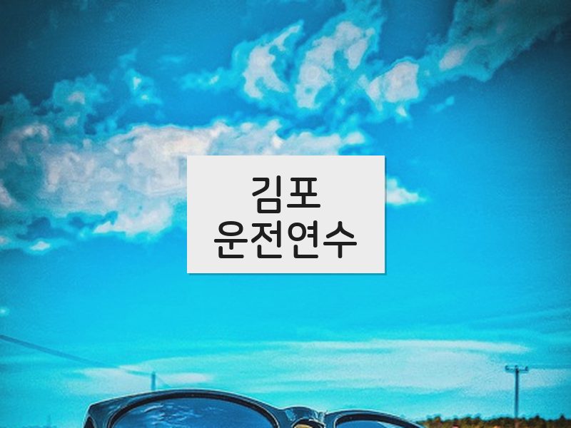 김포운전연수 후기