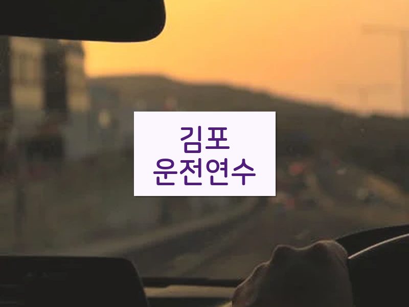 김포운전연수 후기